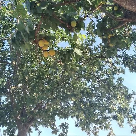 Agriturismo Il Grottino *