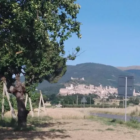 Agriturismo Il Grottino مزرعة للإقامة