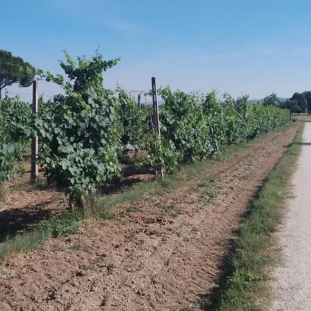 Agriturismo Il Grottino