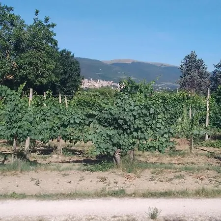 Agriturismo Il Grottino Alloggio per agriturismo