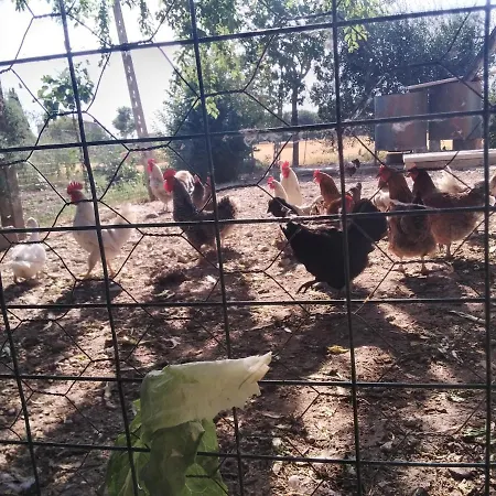 Alloggio per agriturismo Agriturismo Il Grottino *